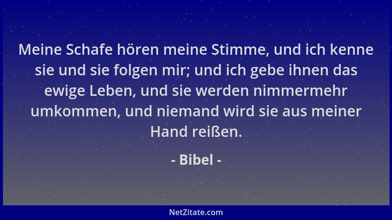 Bibel - Meine Schafe hören meine Stimme, und ich kenne sie und sie folgen mir; und ich gebe ihnen das ewige Leben, und sie...