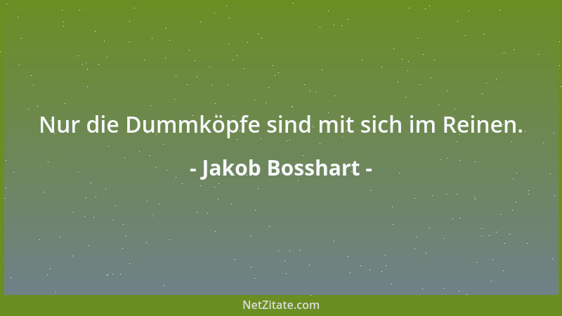 Jakob Bosshart - Nur die Dummköpfe sind mit sich im Reinen....
