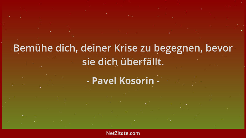 Pavel Kosorin - Bemühe dich, deiner Krise zu begegnen, bevor sie dich überfällt....