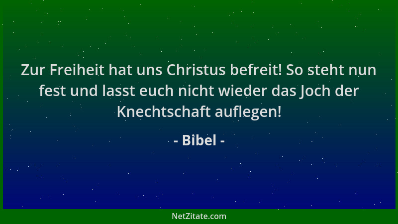 Bibel - Zur Freiheit hat uns Christus befreit! So steht nun fest und lasst euch nicht wieder das Joch der Knechtschaft aufl...