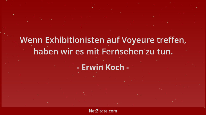 Erwin Koch - Wenn Exhibitionisten auf Voyeure treffen, haben wir es mit Fernsehen zu tun....