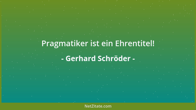 Gerhard Schröder - Pragmatiker ist ein Ehrentitel!...