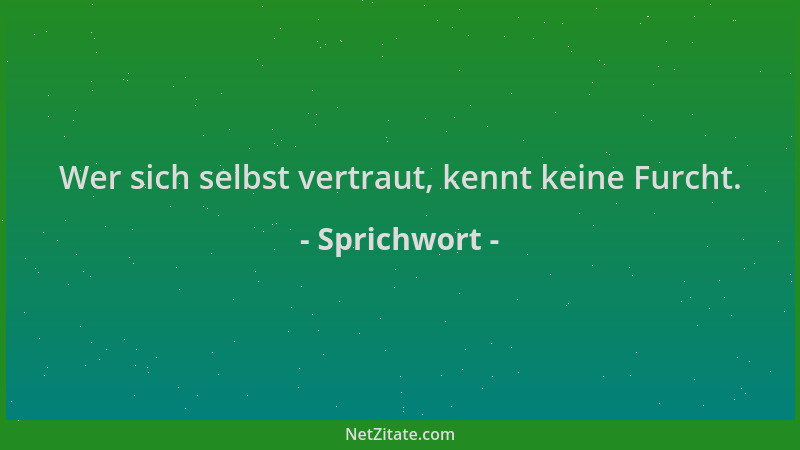Sprichwort - Wer sich selbst vertraut, kennt keine Furcht....