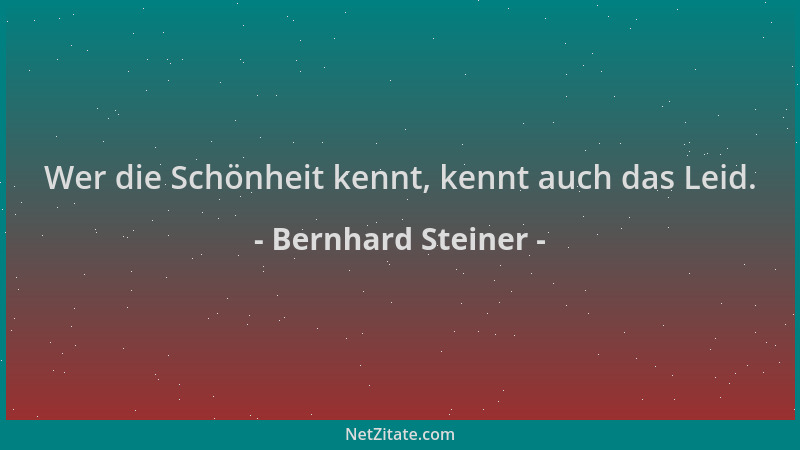 Bernhard Steiner - Wer die Schönheit kennt, kennt auch das Leid....