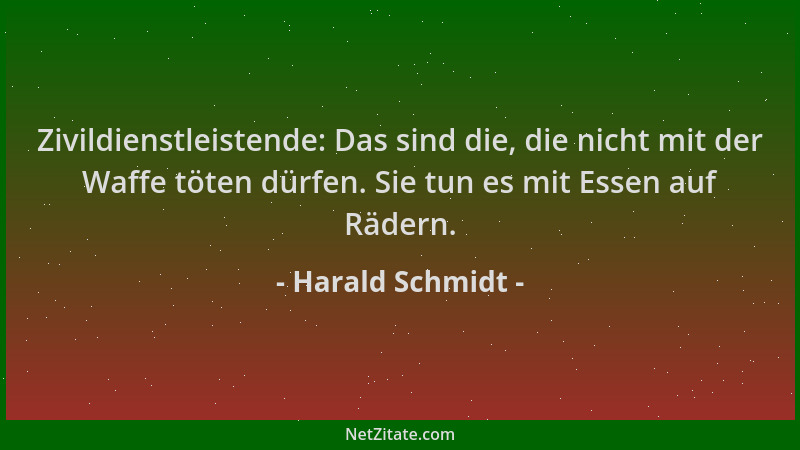 Harald Schmidt - Zivildienstleistende: Das sind die, die nicht mit der Waffe töten dürfen. Sie tun es mit Essen auf Rädern....