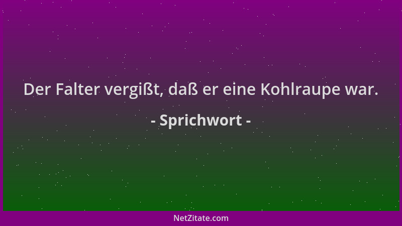 Sprichwort - Der Falter vergißt, daß er eine Kohlraupe war....