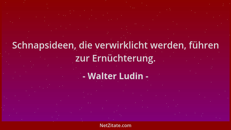 Walter Ludin - Schnapsideen, die verwirklicht werden, führen zur Ernüchterung....