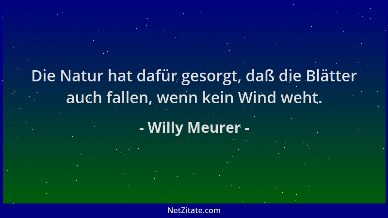 Willy Meurer - Die Natur hat dafür gesorgt, daß die Blätter auch fallen, wenn kein Wind weht....