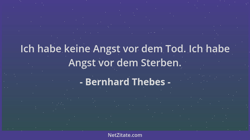 Bernhard Thebes - Ich habe keine Angst vor dem Tod. Ich habe Angst vor dem Sterben....