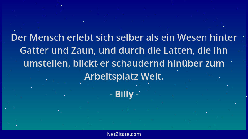 Billy - Der Mensch erlebt sich selber als ein Wesen hinter Gatter und Zaun, und durch die Latten, die ihn umstellen, blickt...