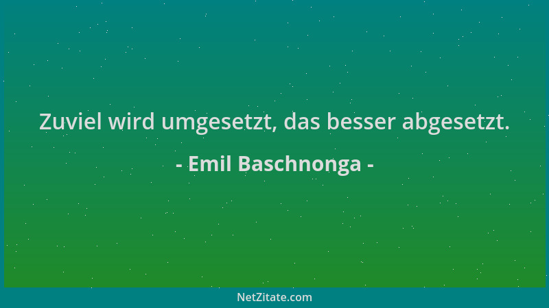 Emil Baschnonga - Zuviel wird umgesetzt, das besser abgesetzt....
