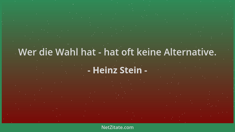 Heinz Stein - Wer die Wahl hat - hat oft keine Alternative....