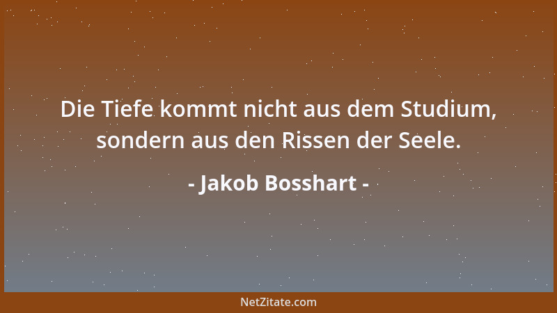 Jakob Bosshart - Die Tiefe kommt nicht aus dem Studium, sondern aus den Rissen der Seele....