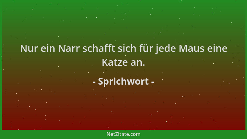 Sprichwort - Nur ein Narr schafft sich für jede Maus eine Katze an....