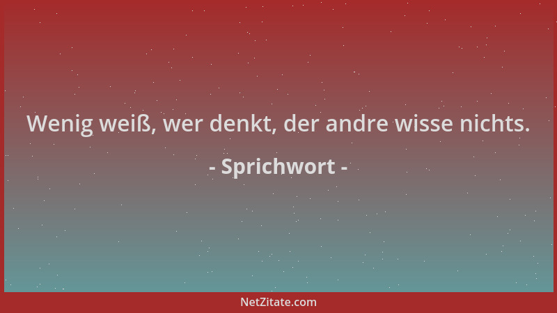 Sprichwort - Wenig weiß, wer denkt, der andre wisse nichts....