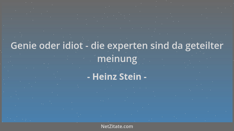 Heinz Stein - Genie oder idiot - die experten sind da geteilter meinung...