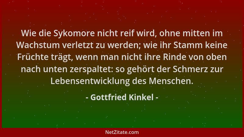 Gottfried Kinkel - Wie die Sykomore nicht reif wird, ohne mitten im Wachstum verletzt zu werden; wie ihr Stamm keine Frücht...