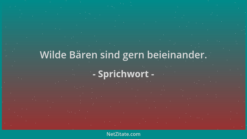 Sprichwort - Wilde Bären sind gern beieinander....