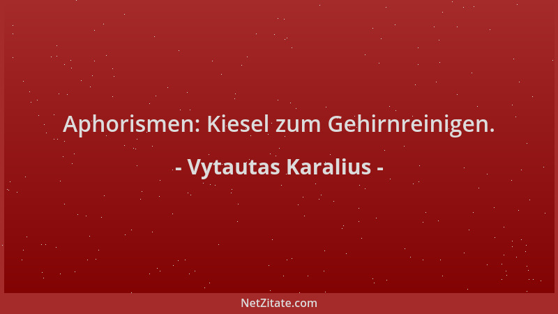 Vytautas Karalius - Aphorismen: Kiesel zum Gehirnreinigen....