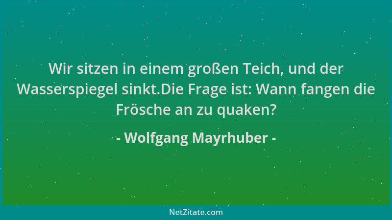 Wolfgang Mayrhuber - Wir sitzen in einem großen Teich, und der Wasserspiegel sinkt.Die Frage ist: Wann fangen die Frösche a...