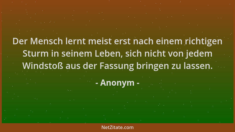 Anonym - Der Mensch lernt meist erst nach einem richtigen Sturm in seinem Leben, sich nicht von jedem Windstoß aus der Fass...