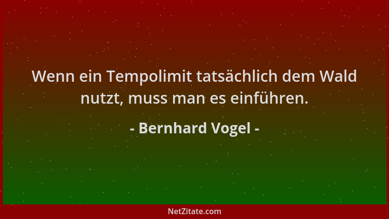 Bernhard Vogel - Wenn ein Tempolimit tatsächlich dem Wald nutzt, muss man es einführen....