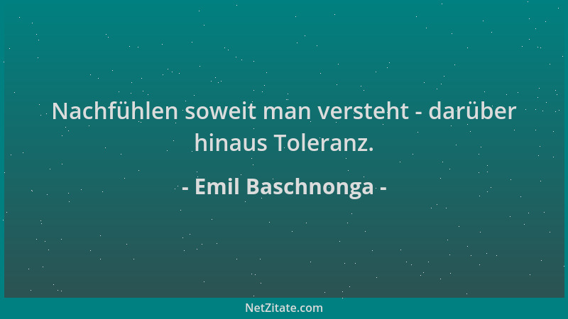 Emil Baschnonga - Nachfühlen soweit man versteht - darüber hinaus Toleranz....