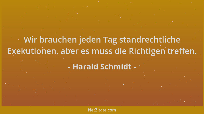 Harald Schmidt - Wir brauchen jeden Tag standrechtliche Exekutionen, aber es muss die Richtigen treffen....