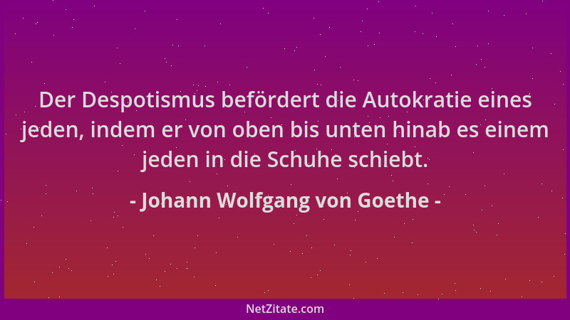Johann Wolfgang von Goethe - Der Despotismus befördert die Autokratie eines jeden, indem er von oben bis unten hinab es ein...