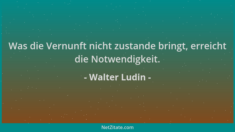 Walter Ludin - Was die Vernunft nicht zustande bringt, erreicht die Notwendigkeit....