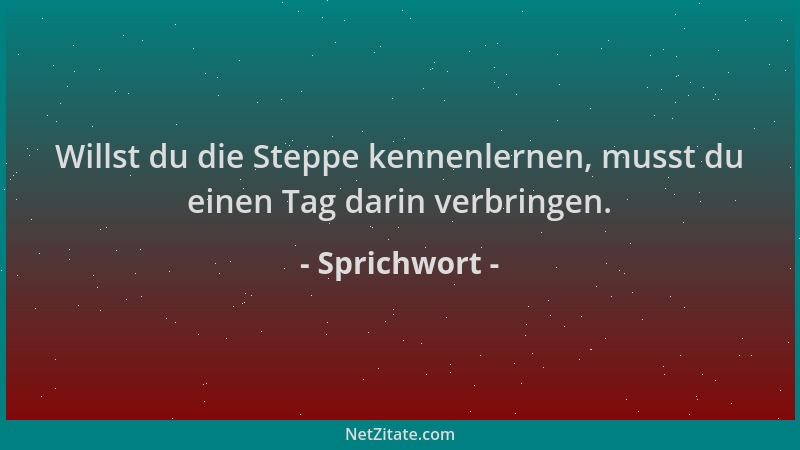 Sprichwort - Willst du die Steppe kennenlernen, musst du einen Tag darin verbringen....
