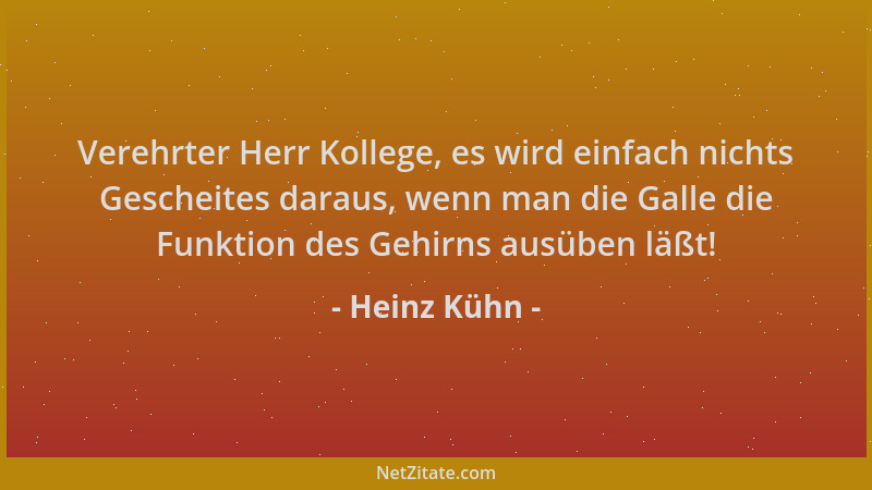 Heinz Kühn - Verehrter Herr Kollege, es wird einfach nichts Gescheites daraus, wenn man die Galle die Funktion des Gehirns...