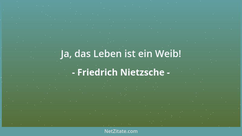 Friedrich Nietzsche - Zynismus ist die einzige Form, in welcher gemeine Seelen an das streifen, was Redlichkeit ist....