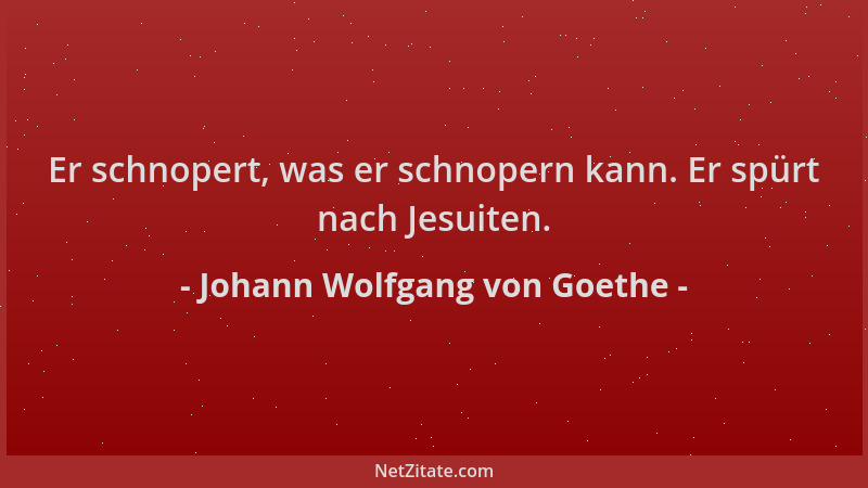 Johann Wolfgang von Goethe - Er schnopert, was er schnopern kann. Er spürt nach Jesuiten....