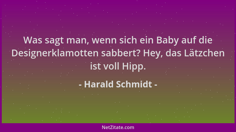 Harald Schmidt - Was sagt man, wenn sich ein Baby auf die Designerklamotten sabbert? Hey, das Lätzchen ist voll Hipp....