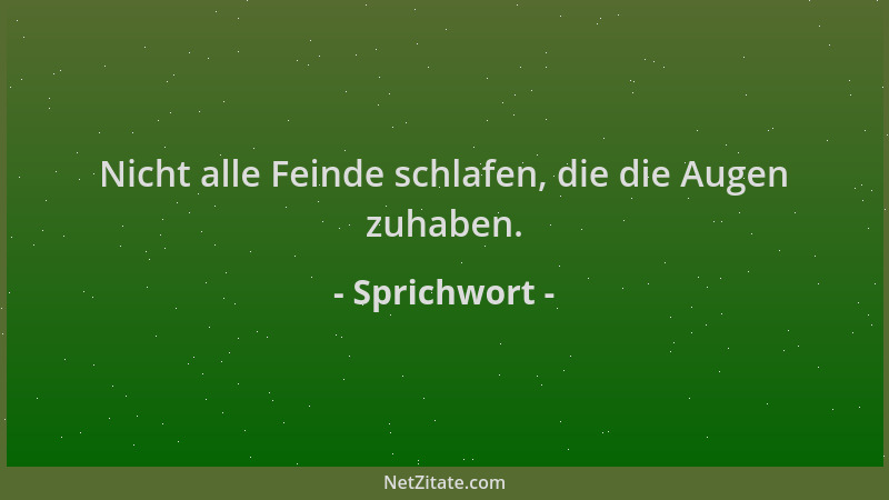 Sprichwort - Nicht alle Feinde schlafen, die die Augen zuhaben....