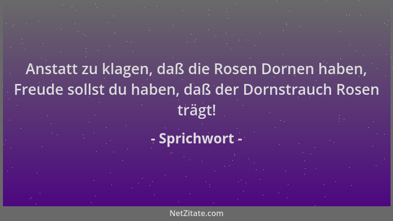 Sprichwort - Anstatt zu klagen, daß die Rosen Dornen haben, Freude sollst du haben, daß der Dornstrauch Rosen trägt!...