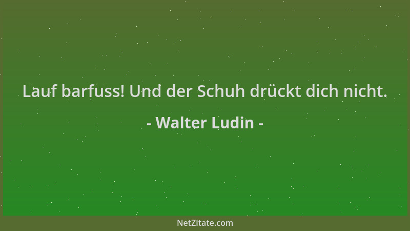 Walter Ludin - Lauf barfuss! Und der Schuh drückt dich nicht....