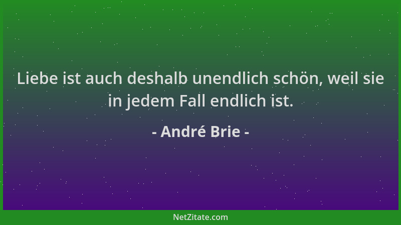 André Brie - Liebe ist auch deshalb unendlich schön, weil sie in jedem Fall endlich ist....