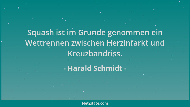 Harald Schmidt - Squash ist im Grunde genommen ein Wettrennen zwischen Herzinfarkt und Kreuzbandriss....
