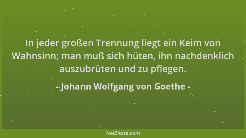 Johann Wolfgang von Goethe - In jeder großen Trennung liegt ein Keim von Wahnsinn; man muß sich hüten, ihn nachdenklich aus...