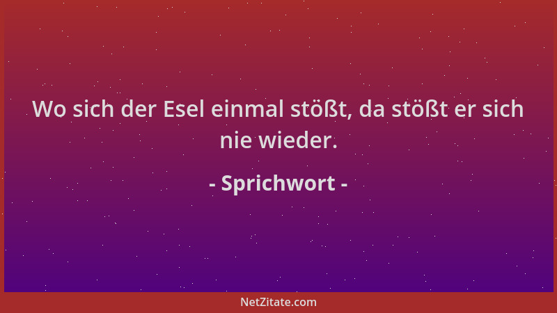 Sprichwort - Wo sich der Esel einmal stößt, da stößt er sich nie wieder....