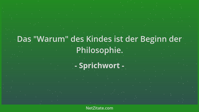 Sprichwort - Das  "Warum " des Kindes ist der Beginn der Philosophie....