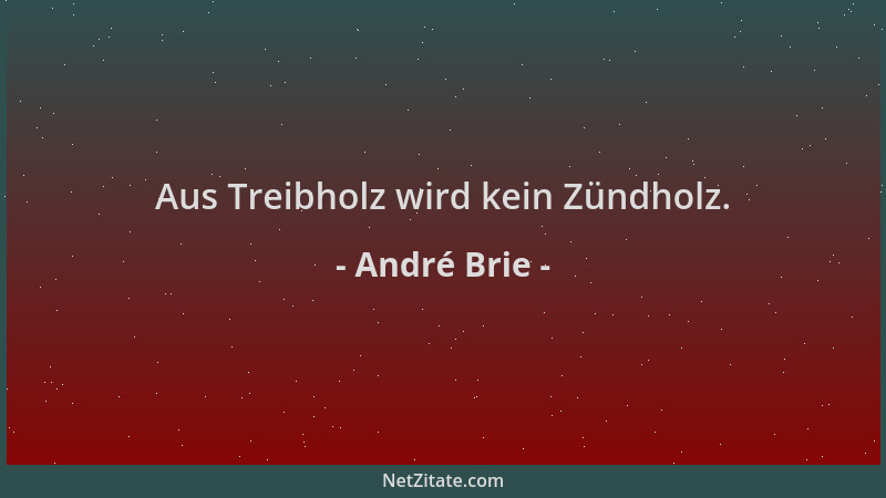 André Brie - Aus Treibholz wird kein Zündholz....