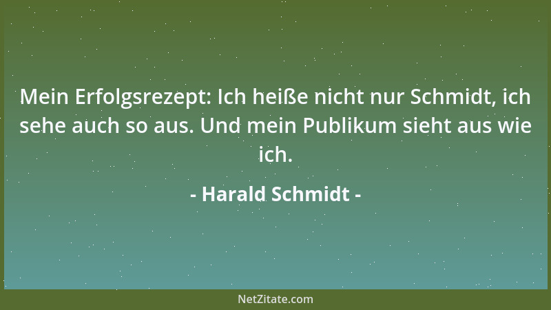 Harald Schmidt - Mein Erfolgsrezept: Ich heiße nicht nur Schmidt, ich sehe auch so aus. Und mein Publikum sieht aus wie ich...