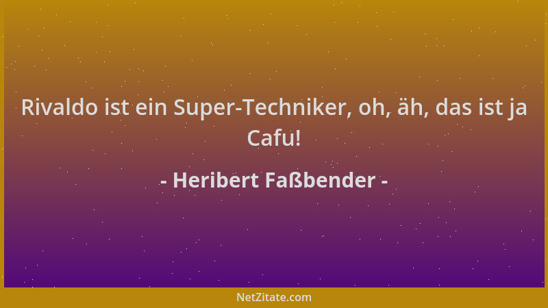 Heribert Faßbender - Rivaldo ist ein Super-Techniker, oh, äh, das ist ja Cafu!...