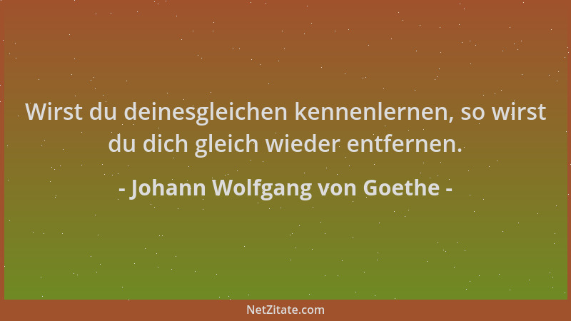 Johann Wolfgang von Goethe - Wirst du deinesgleichen kennenlernen, so wirst du dich gleich wieder entfernen....