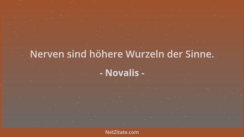 Novalis - Nerven sind höhere Wurzeln der Sinne....