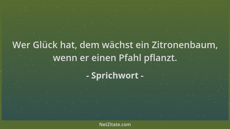 Sprichwort - Wer Glück hat, dem wächst ein Zitronenbaum, wenn er einen Pfahl pflanzt....