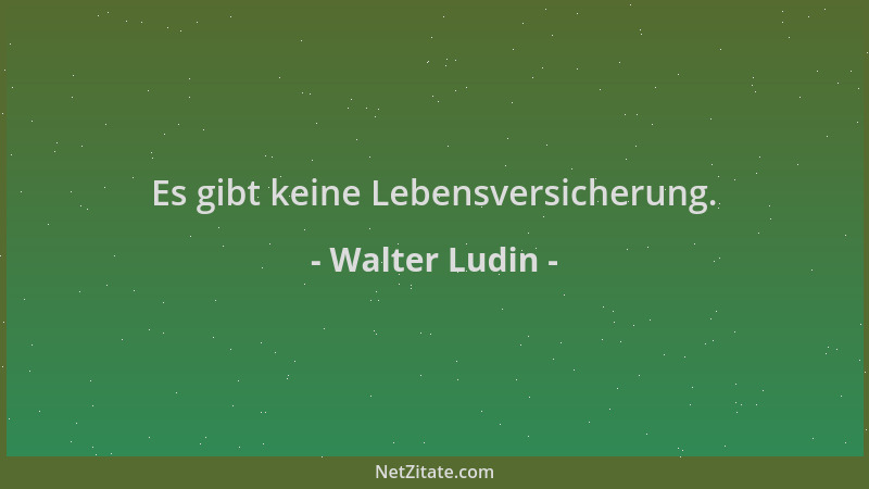 Walter Ludin - Es gibt keine Lebensversicherung....